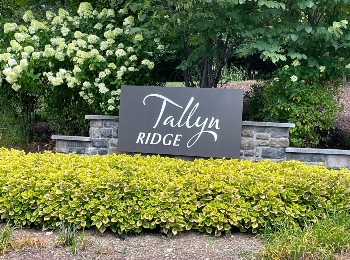 Tallyn Ridge  Homes and Townhomes