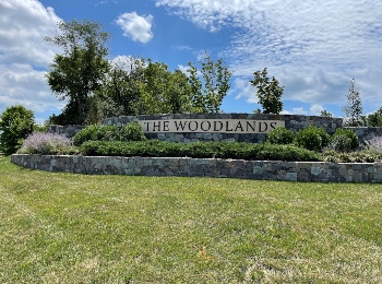 The Woodlands