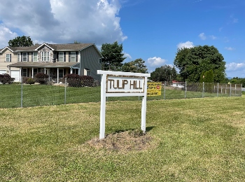 Tulip Hill Homes